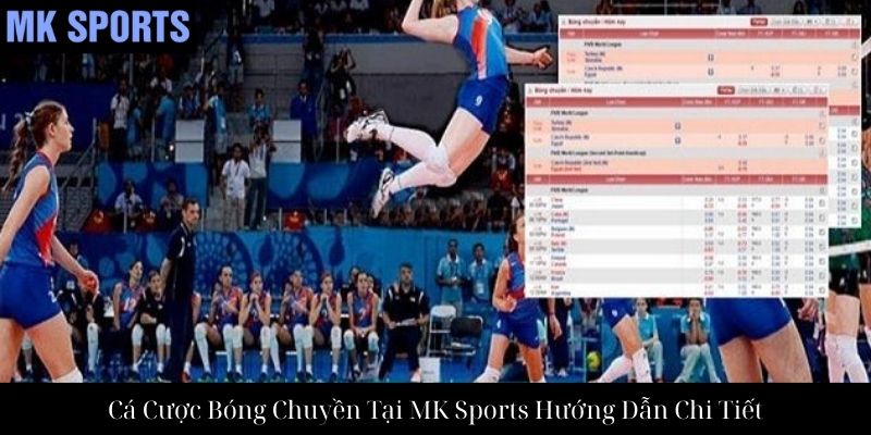 Cá Cược Bóng Chuyền Tại MK Sports Hướng Dẫn Chi Tiết