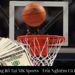 Cá Cược Bóng Rổ Tại MK Sports - Trải Nghiệm Cá Độ Đỉnh Cao