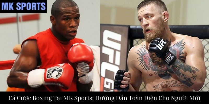 Cá Cược Boxing Tại MK Sports: Hướng Dẫn Toàn Diện Cho Người Mới