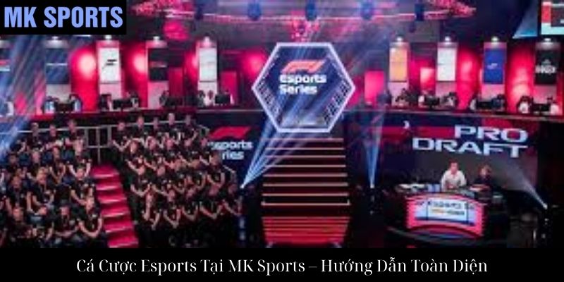 Cá Cược Esports Tại MK Sports – Hướng Dẫn Toàn Diện