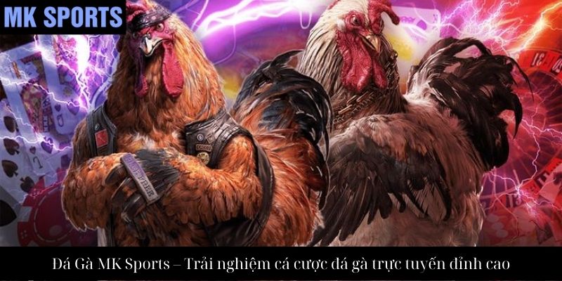 Đá Gà MK Sports – Trải nghiệm cá cược đá gà trực tuyến đỉnh cao